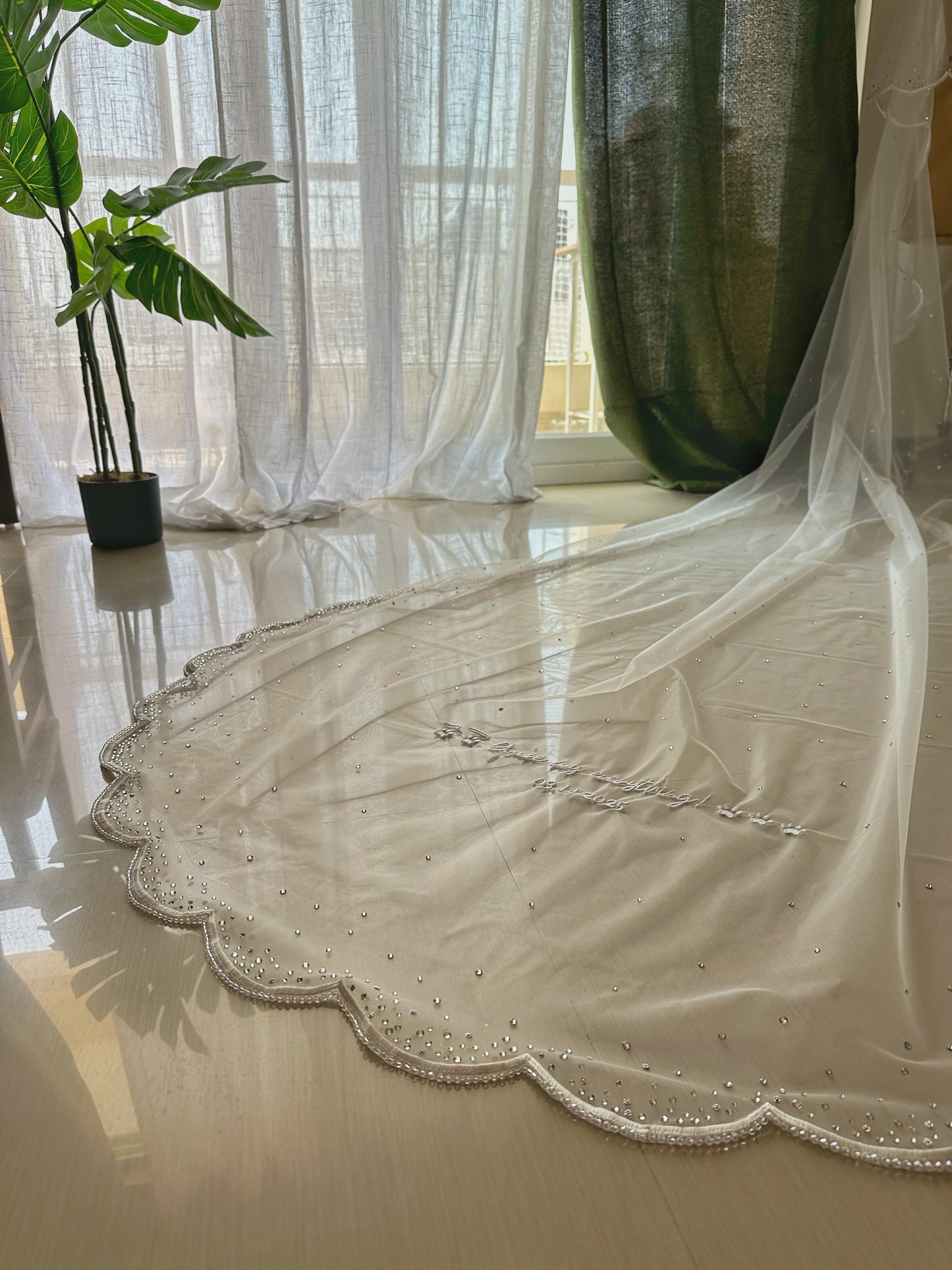 Whisper of Whiskers – Scalloped Cathedral Veil with Ombré Stones & Custom Dog Detail
