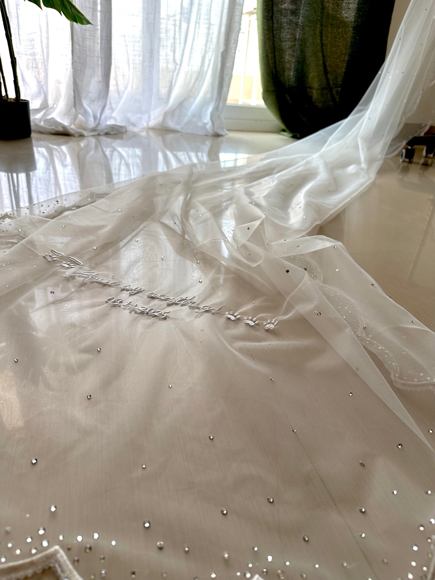 Whisper of Whiskers – Scalloped Cathedral Ivory White Veil with Ombré Stones & Custom Dog Detail