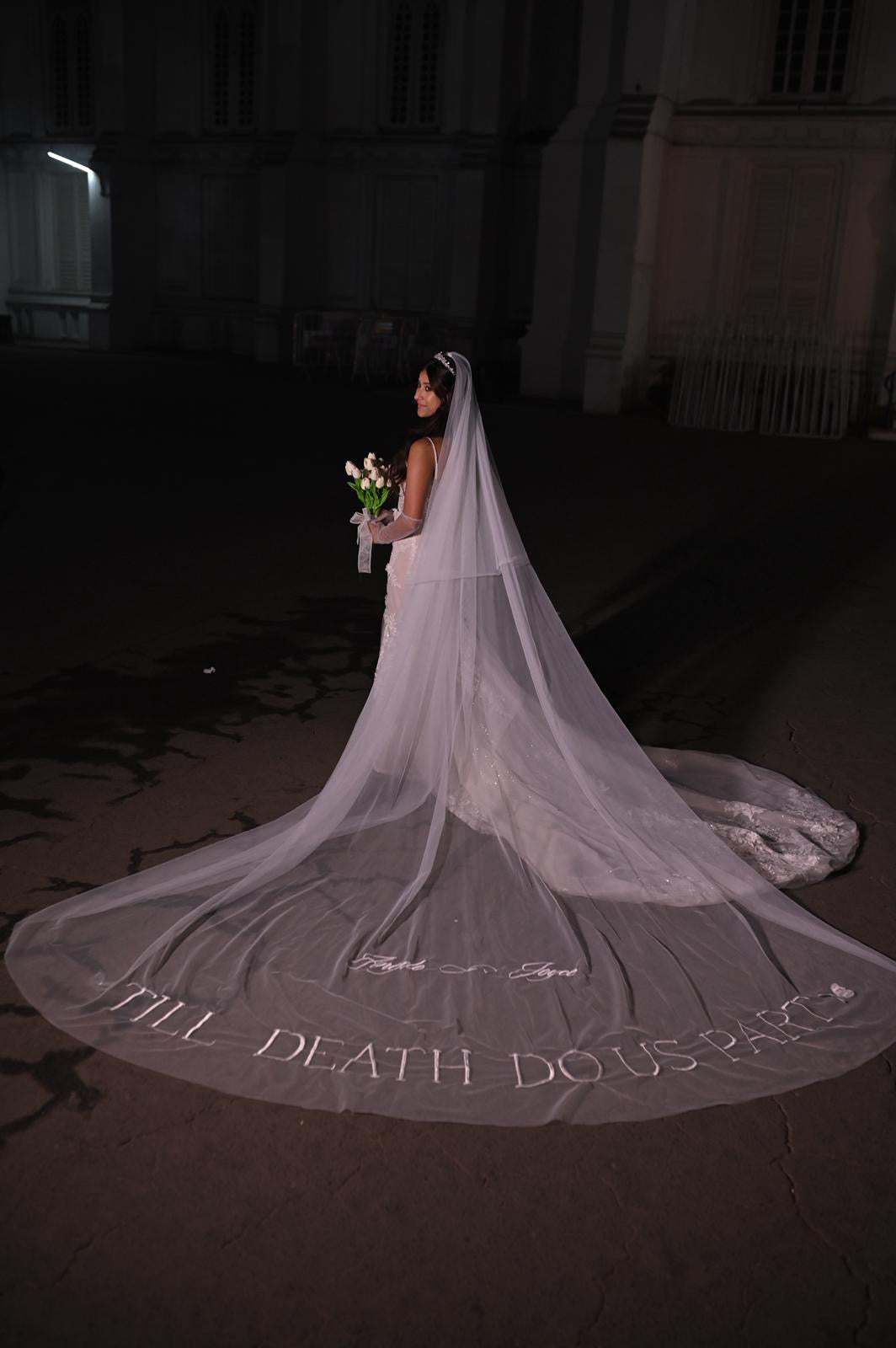 ivory dress and white veil Hailey : 