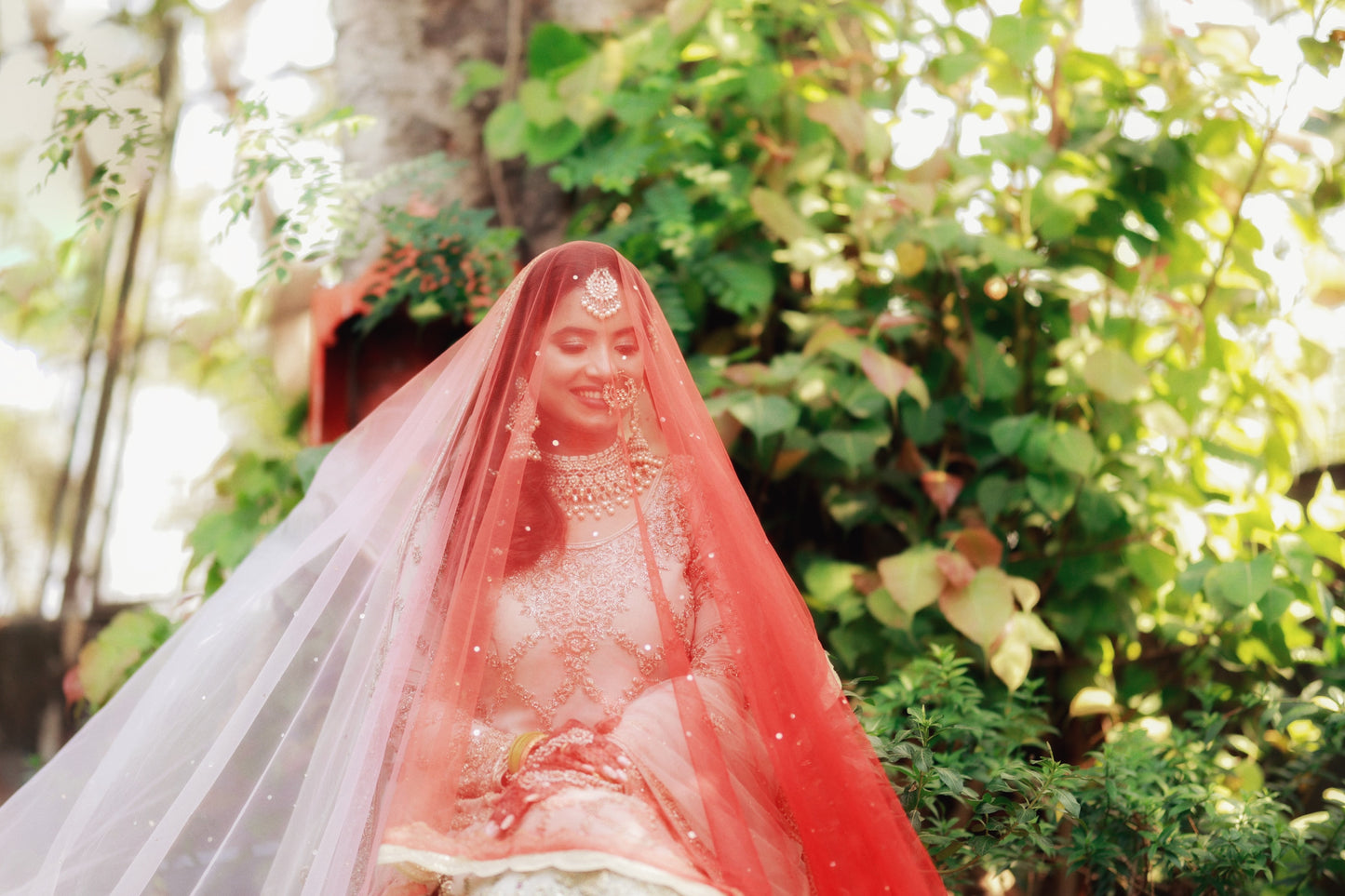 Dawn of Roses – Pink-Red Ombré Veil