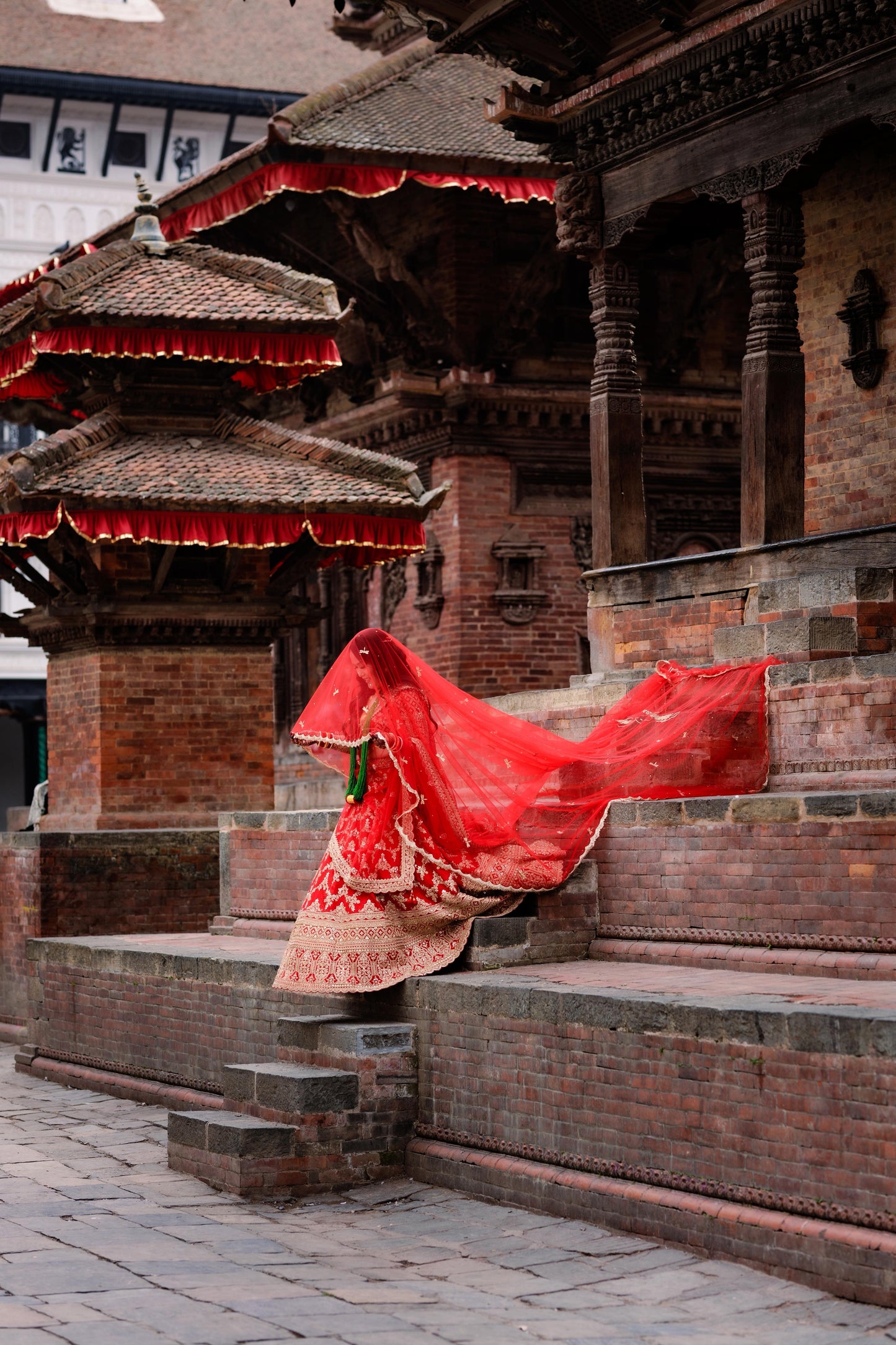 Enchanted Wings : Classic Red Bridal Veil with Stone-Studded Dragonflies & shlokas