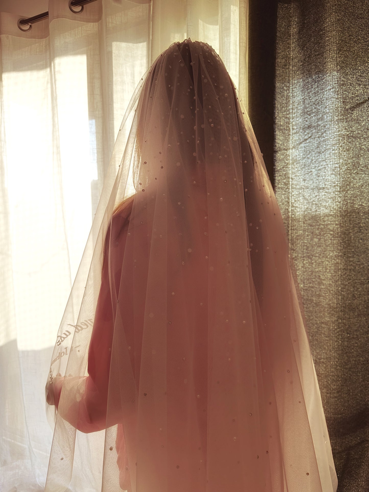 Butterfly Vows : Personalised Logo on Ivory white Cathedral Veil with 3D Butterflies & Quote