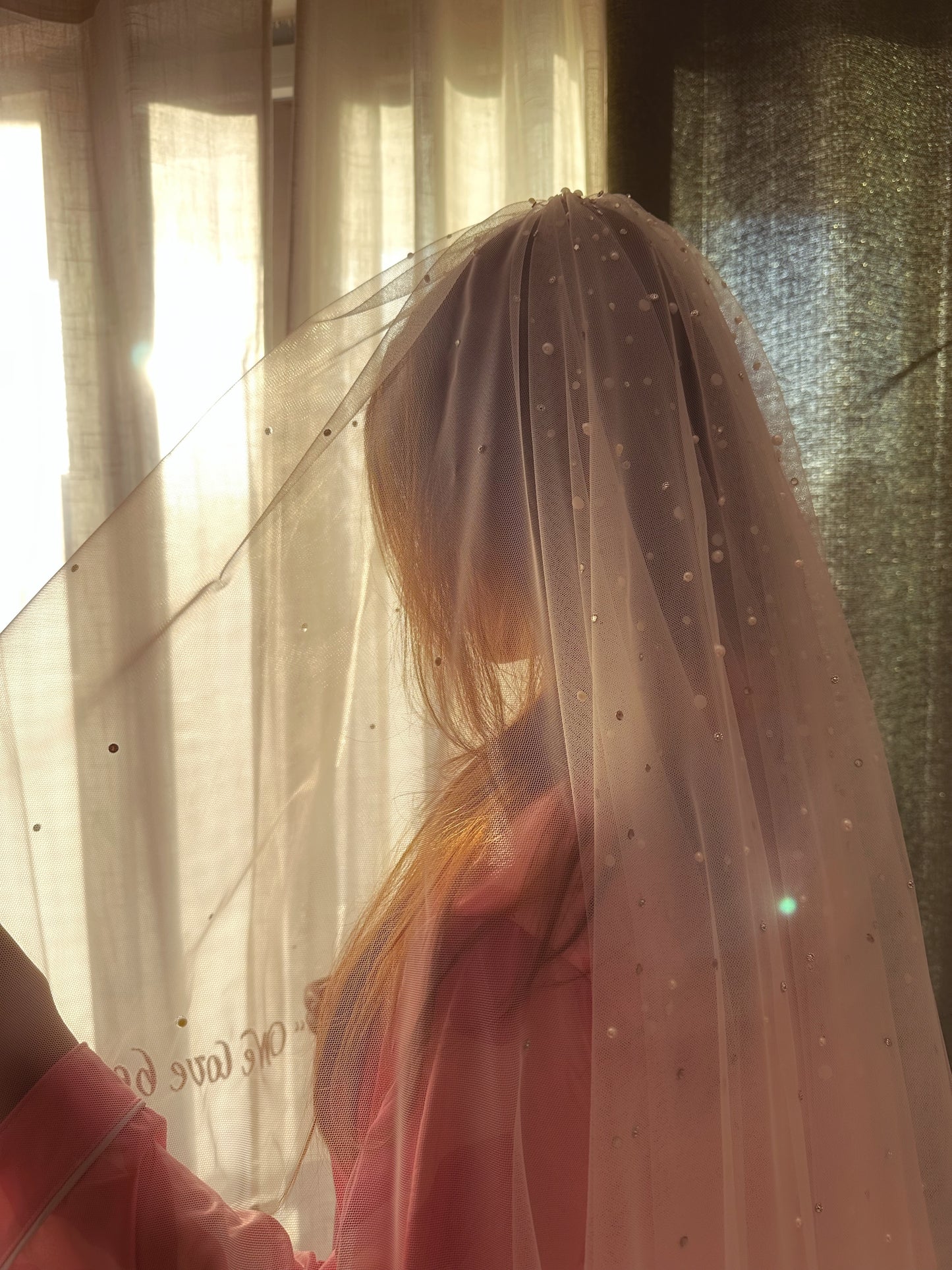 Butterfly Vows : Personalised Logo on Ivory white Cathedral Veil with 3D Butterflies & Quote