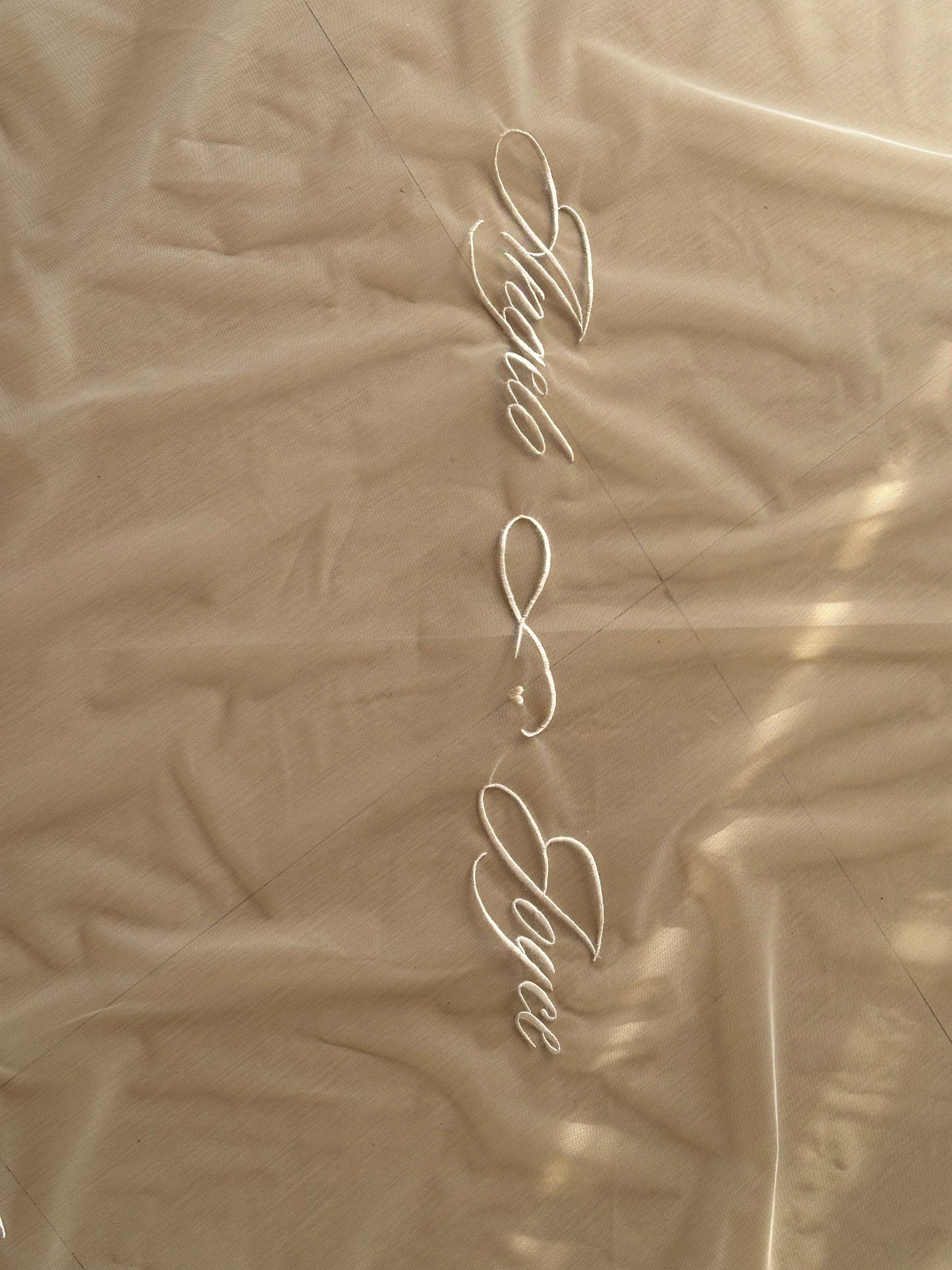 Hailey : "Till Death Do Us Part" quoted 2-tier Ivory white Cathedral Length Veil