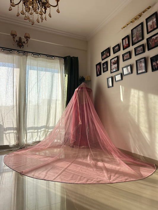 Blush Halo : Baby Pink Cathedral Length Bridal Veil with Sleek Beaded Border