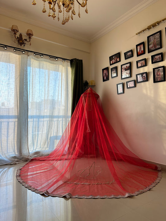 Prachi : A Cathedral Length Veil with custom Logo personalisation