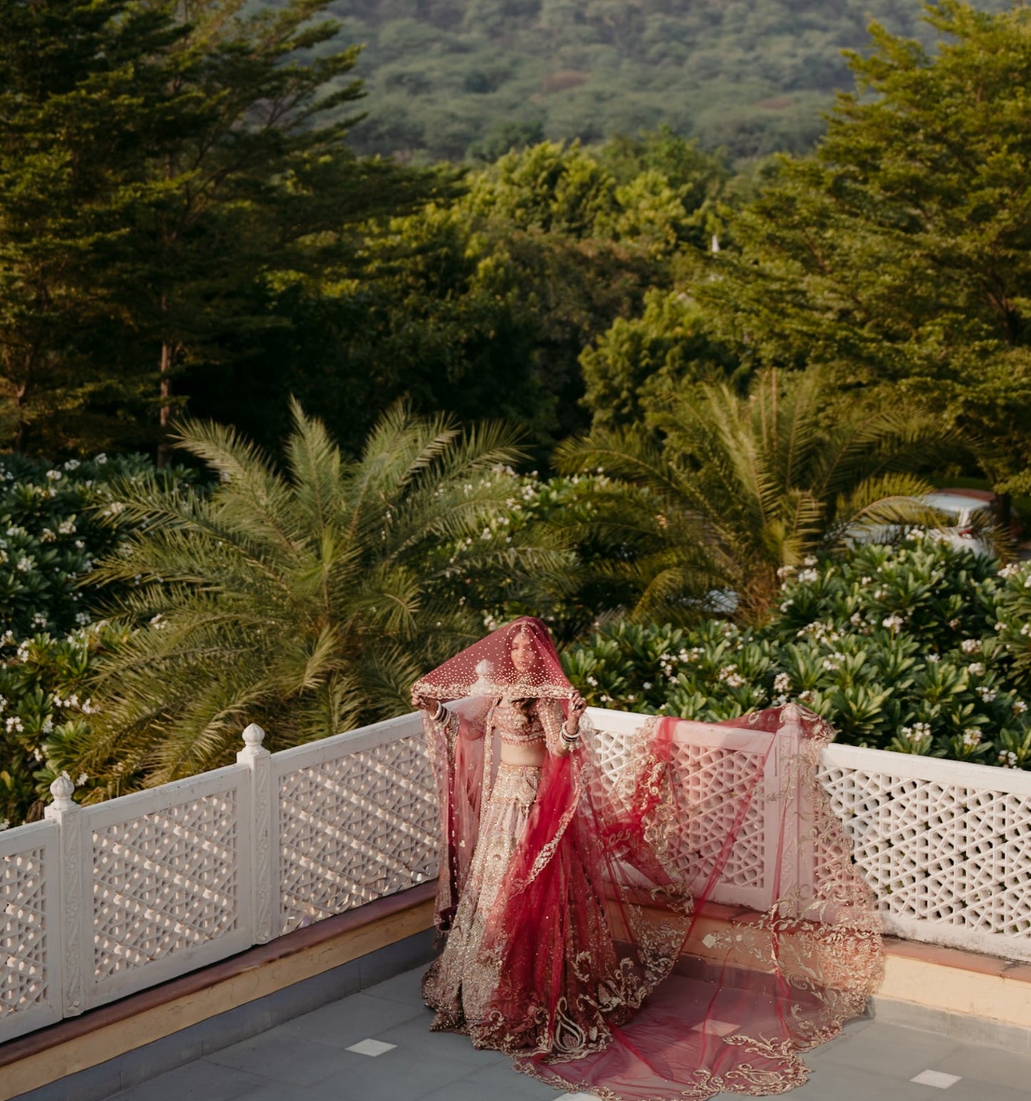 Regalia : The Double Halo Veil in gold zari