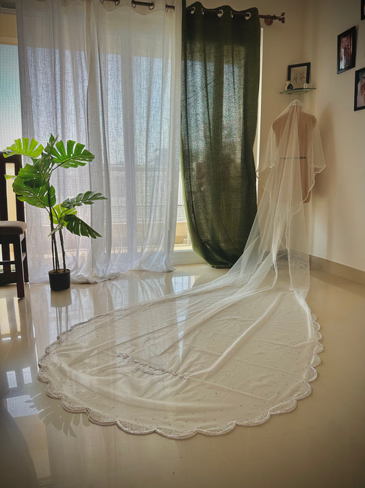 Whisper of Whiskers – Scalloped Cathedral Veil with Ombré Stones & Custom Dog Detail