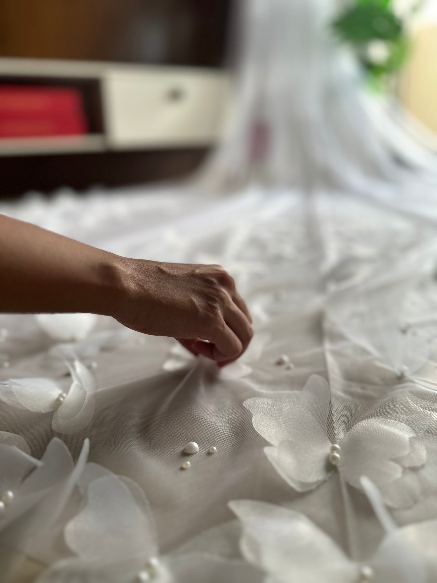 Aurora - the 3d butterfly cathedral length white veil