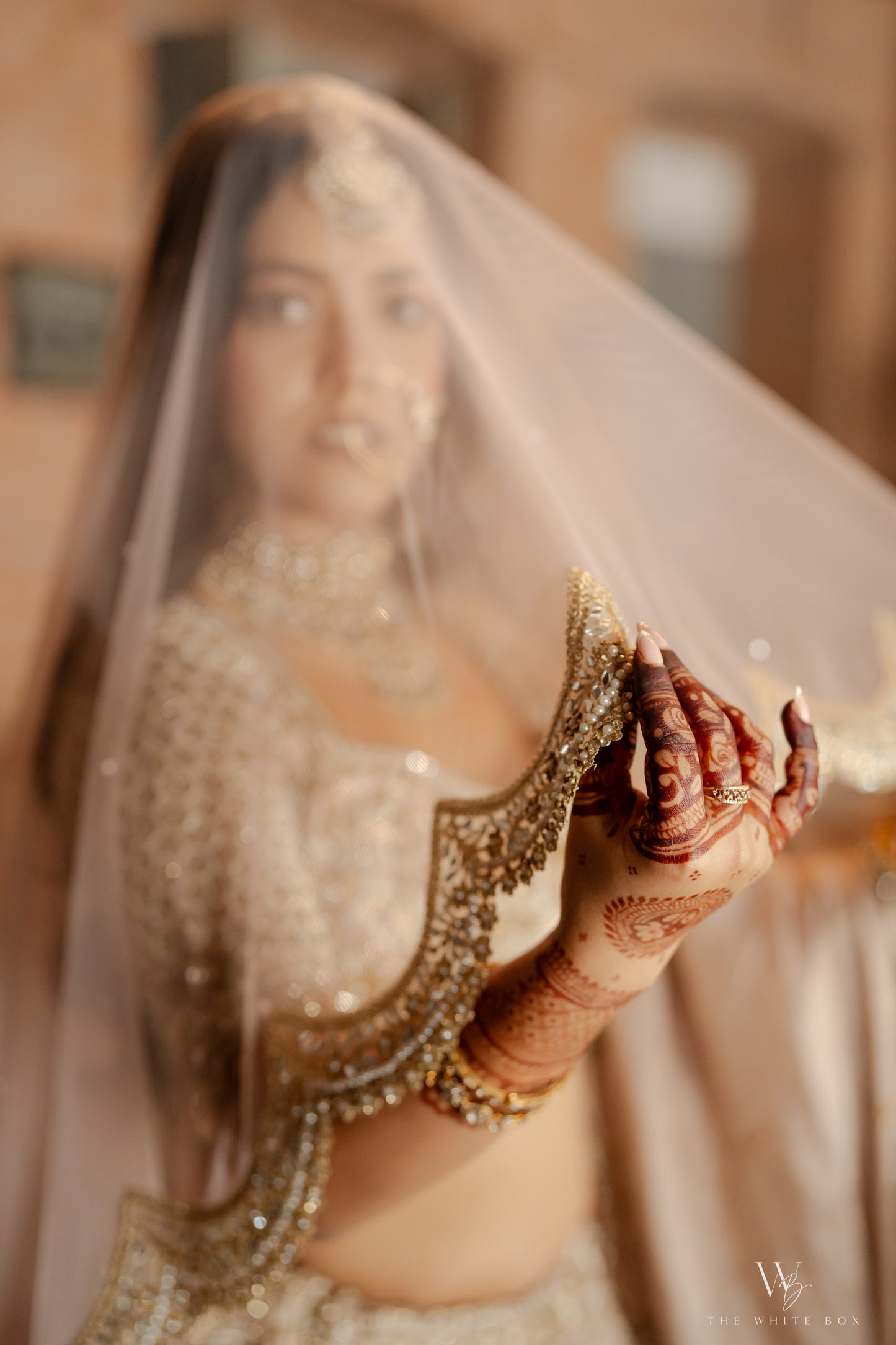 Rose Nude : A Nude Pink veil with scalloped pearl-mirror floral border
